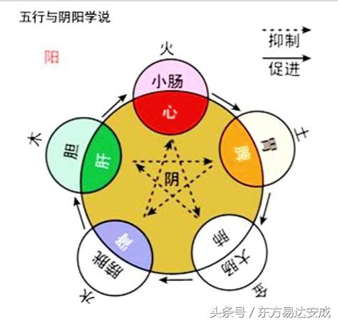 中醫五行|《中醫基礎理論》完整版電子書